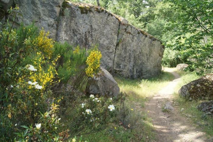 Casa Rural Cabeza Lobera Villanueva de Avila 外观 照片